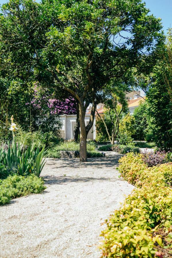 Queen's Garden Auberge de jeunesse Oporto